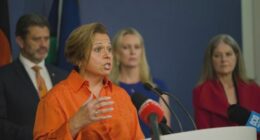 All states and territories have agreed to rush through urgent reforms to the working with childrens check after allegations of child abuse at centres across the country.