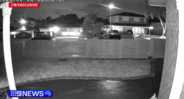 Alleged stolen car crash captured on CCTV as girl, 16, arrested