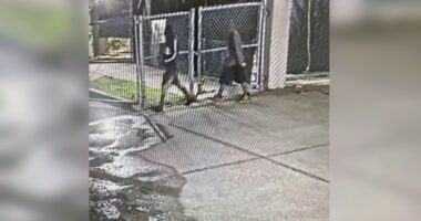 Andrew Jackson High faces déjà vu as thieves steal new golf cart