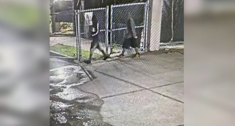 Andrew Jackson High faces déjà vu as thieves steal new golf cart
