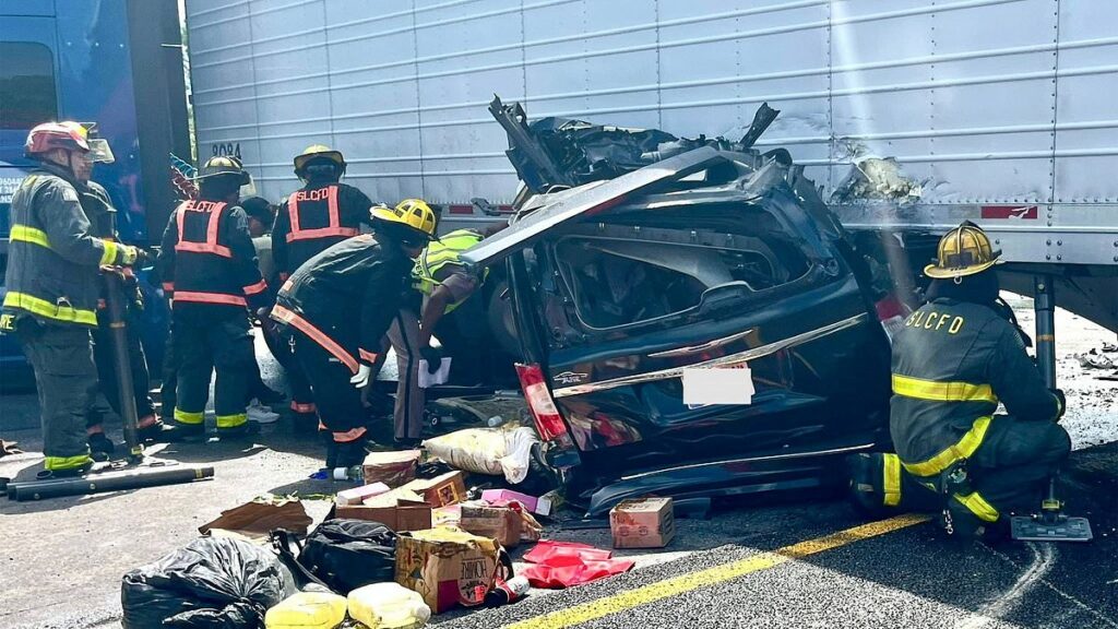 Appalling past of Indian illegal migrant trucker who killed three with illegal U-turn