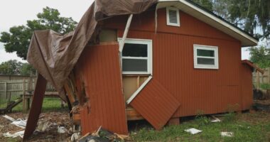 'Ask Anthony' gets answers after tree destroys Jacksonville woman’s home