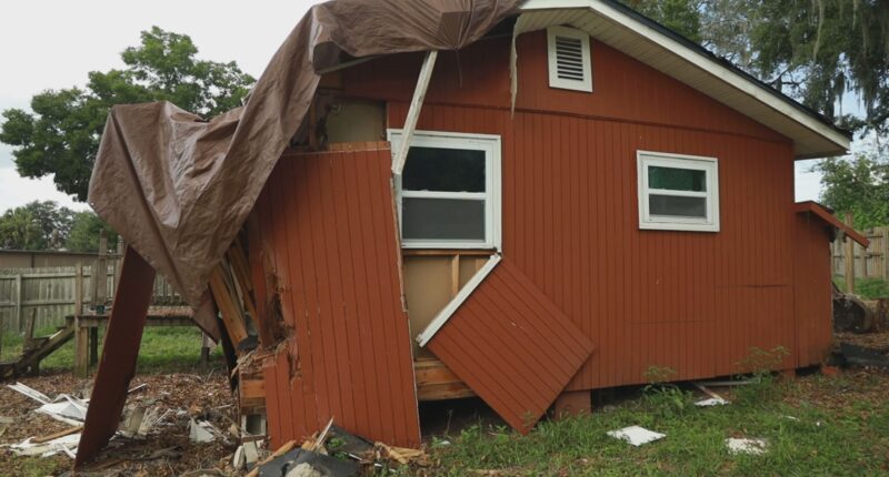 'Ask Anthony' gets answers after tree destroys Jacksonville woman’s home