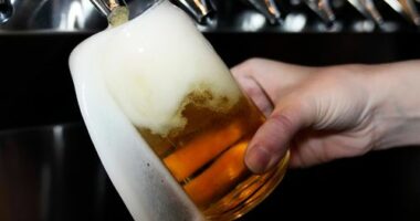 A bartender pours a craft beer.