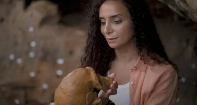 BBC presenter ditched arranged marriage and hijab to become TV star and next Attenborough