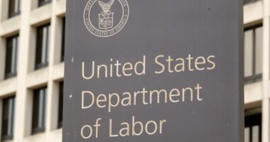 BLS chief Trump accused of data fraud responds to firing