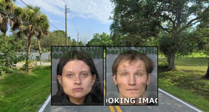 Baby killed by parents struggling with bedtime routine: Cops