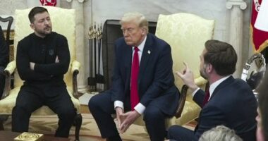 FILE - U.S. Vice President JD Vance, right, speaks with Ukrainian President Volodymyr Zelenskyy, left, as President Donald Trump listens, in the Oval Office at the White House on Feb. 28, 2025, in Washington. (AP Photo/ Mystyslav Chernov, File)