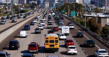 Back-to-school and safe driving: Guide