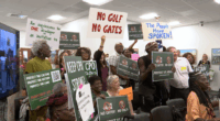 Beaufort County Council proceeds with Pine Island negotiations