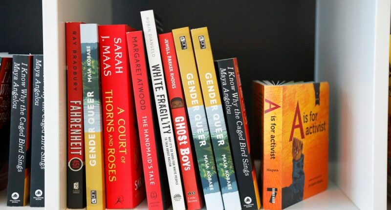 Beaufort public meeting to address challenged books