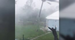 Bermuda vs. hurricanes: Why the island keeps on winning