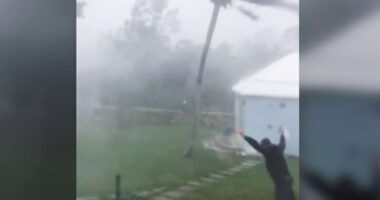 Bermuda vs. hurricanes: Why the island keeps on winning