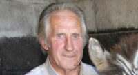 Bill Turner dead at 78: Legendary horse trainer passes after 'freak accident' as his family pay tribute to him who 'was everyone's dad'