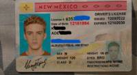 Blog operators selling fake New Mexico driver’s licenses