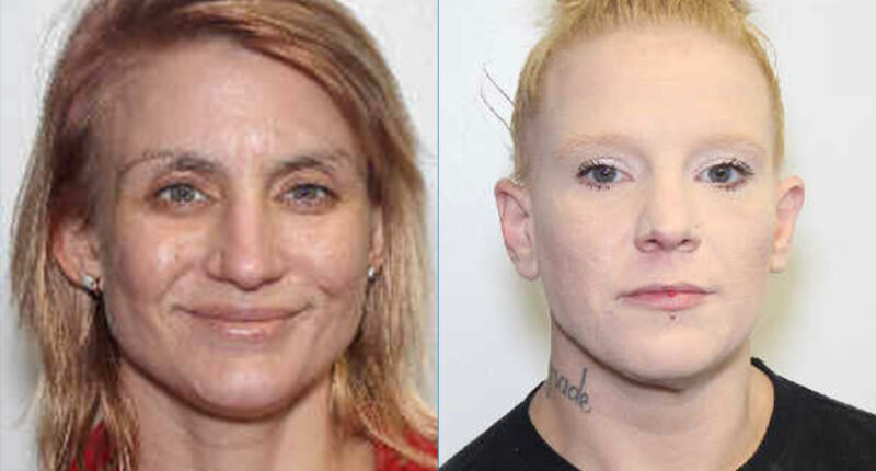 Kristen N. Grissom, 38, of North Charleston, and Christine Marie McAbee, 35, of Walterboro, found dead in Sumter County, Georgia.