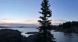 Bodies of missing paddleboarder, dog, found in Colorado