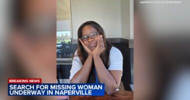 Body found at Springbrook Prairie Forest Preserve believed to be missing Naperville mother Olasinmibo 'Sinmi' Abosede, police say