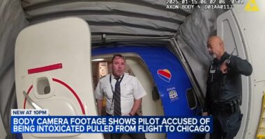 Bodycam video shows Southwest Airlines pilot arrested for DUI on Chicago-bound flight at Savannah Hilton Head Airport in Georgia