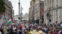 British Red Cross Paying for Families of 'Asylum Seekers' to Immigrate