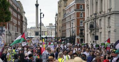 British Red Cross Paying for Families of 'Asylum Seekers' to Immigrate