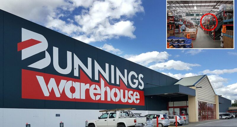 Bunnings delights with the launch of $15 nostalgic 90s item every Aussie adored: 'I need this right now'