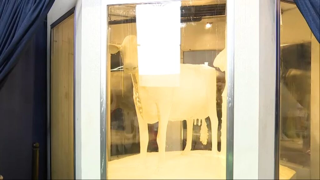 Butter Cow sculpture unveiled for 2025 Illinois State Fair in Springfield