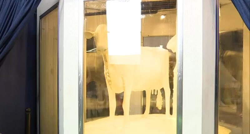 Butter Cow sculpture unveiled for 2025 Illinois State Fair in Springfield