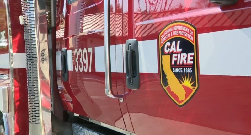CAL FIRE captain charged with killing woman and boy: Sheriff