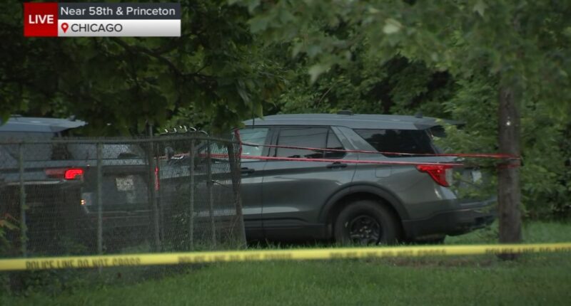 COPA investigating shooting involving Chicago police near 58th Street, Princeton Avenue in Englewood