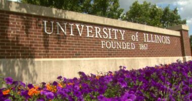 CU residents invited to U of I Quad for community, connection