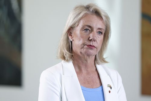 Call for 'change of approach' following horror Porepunkah shooting