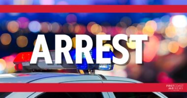 Camden County School Board janitor Mason Guarino arrested