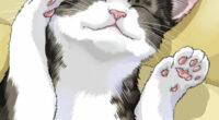 Cat + Crazy Volume 1 Review