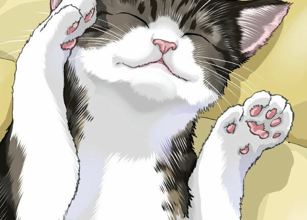 Cat + Crazy Volume 1 Review