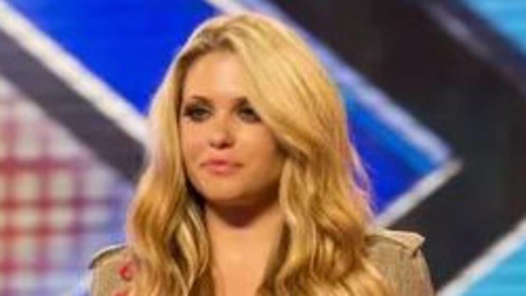 Celebrities you had no idea auditioned for The X Factor