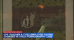 Chicago Public Schools teacher, Chicago Youth Symphony Orchestra employee Jaron Woodsley charged in child pornography case: Feds