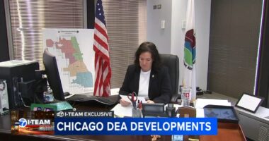 Chicago US Enforcement Administration Special Agent in Charge Shelia Lyons retires; report shows cocaine trafficking trends