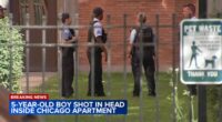 Chicago shooting: 5-year-old boy dies after being shot in head at apartment on South Greenwood Avenue in Kenwood, police say