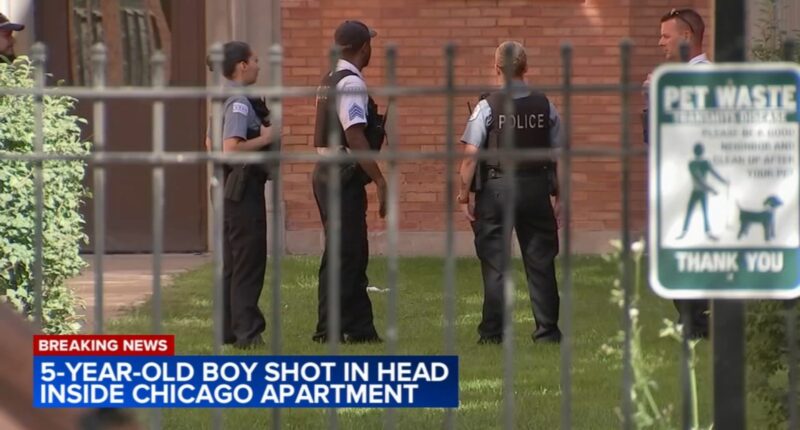 Chicago shooting: 5-year-old boy dies after being shot in head at apartment on South Greenwood Avenue in Kenwood, police say