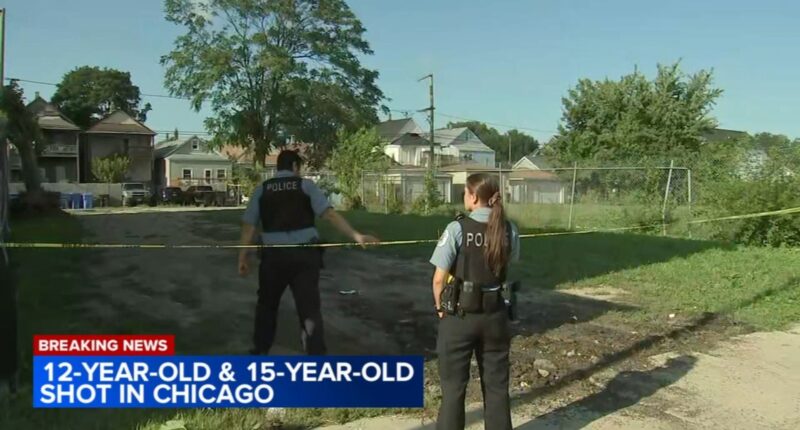 Chicago shooting critically injures 2 boys near 47th Street, Union Avenue in Canaryville: CPD