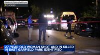 Chicago shootings: Tia Bell, Deandre Russell, Nurrie Foy killed in 2 East Garfield Park shootings on Maplewood, Gladys Avenues: ME