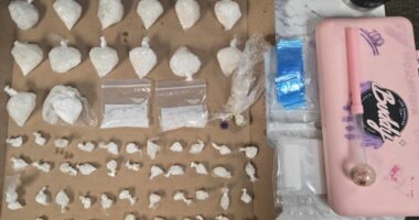 Chief Deputy: Fentanyl, meth found during Unicoi Co. traffic stop