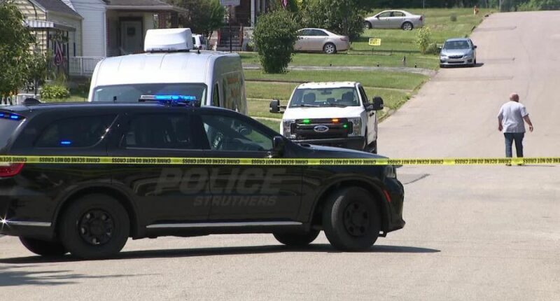 Child dies following shooting in Struthers