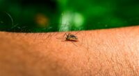China brings in pandemic response after thousands get rare virus