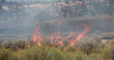 Colorado correctional center evacuated due to wildfire threat