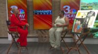 Community Corner: "The Best Art Expression" - A celebration of art in Savannah with proceeds benefitting the Boys and Girls Club