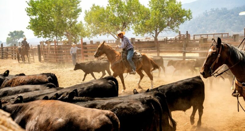 Crews struggle to contain massive California wildfire that's injured 3 people