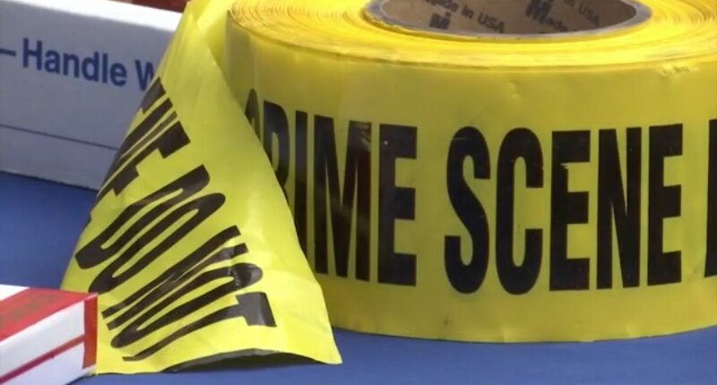 Crime rate drops in Georgia according to new report