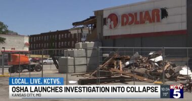 Customer at Family Dollar crushed by collapsing roof: Suit